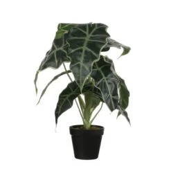 Kunstplant Alocasia In Pot - 30 × 50 Cm