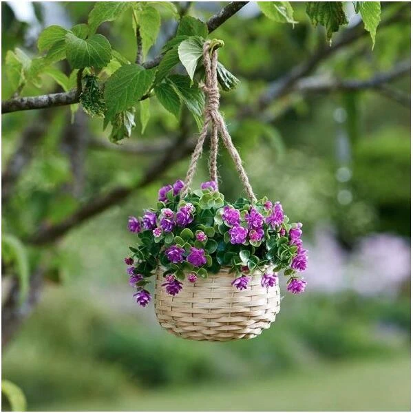 Bloemenmand Hangend - Kunststof - Afbeelding 2