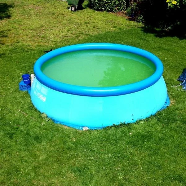 BSI Chloorkorrels Snelwerkend - SHOCK 1 Kg - Afbeelding 3