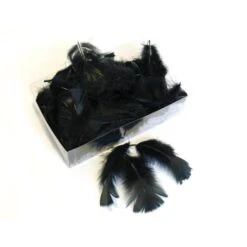 Decoratieve Pluimen - Zwart