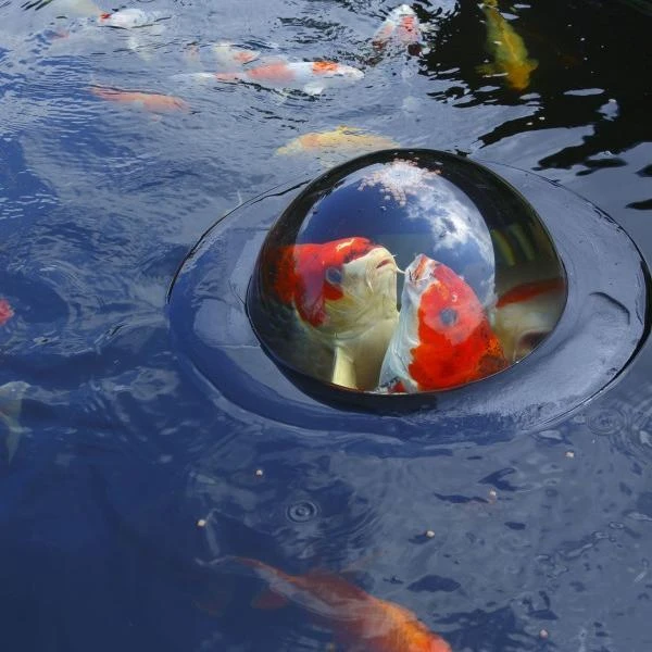 Drijvende Visbeleving - 56 Cm - Afbeelding 2