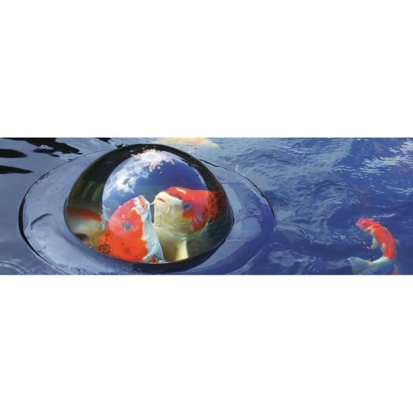 Drijvende Visbeleving - 56 Cm - Afbeelding 5