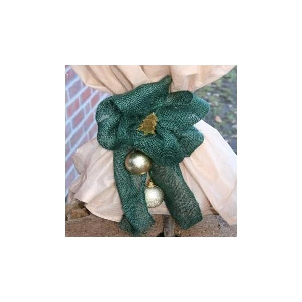 Jute Band - Groen - 12 Cm × 3 M