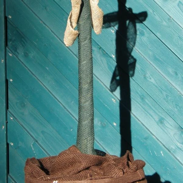 Jute Band - Groen - 12 Cm × 3 M - Afbeelding 4