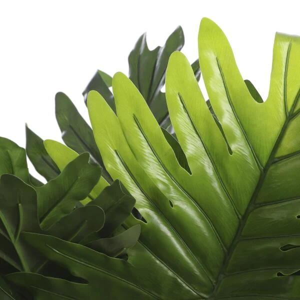 Kunstplant Philodendron In Pot - 80 × 60 Cm - Afbeelding 2