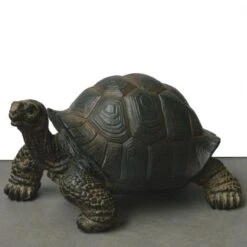 Reuzenschildpad - Miniatuur