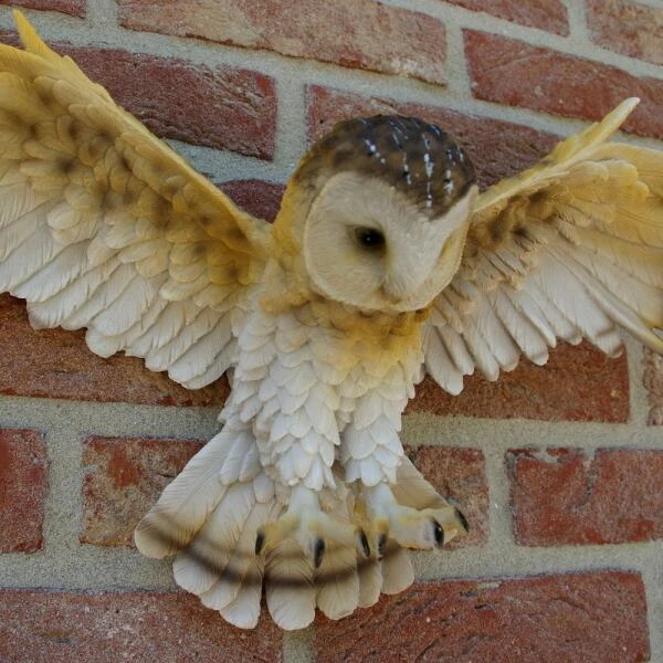 Uil Met Open Vleugels Muurdecoratie - Afbeelding 3