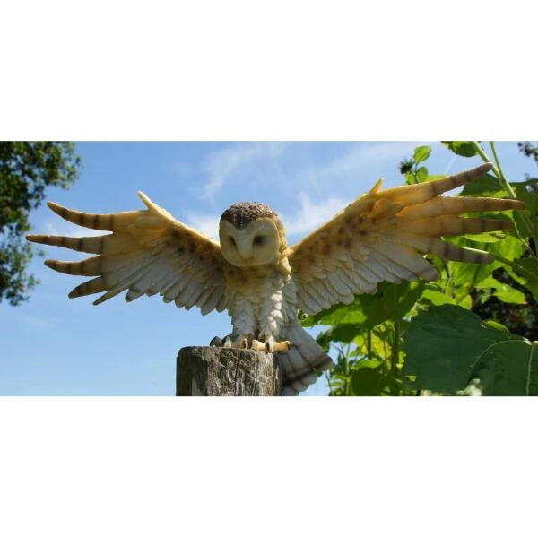 Uil Met Open Vleugels Muurdecoratie - Afbeelding 5
