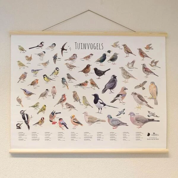 Wanddoek Tuinvogels - Afbeelding 3