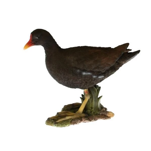 Waterhoen Tuinbeeld - Afbeelding 3