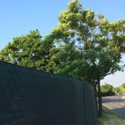 Zichtbreker - Windbreker 25 × 2 M Donkergroen